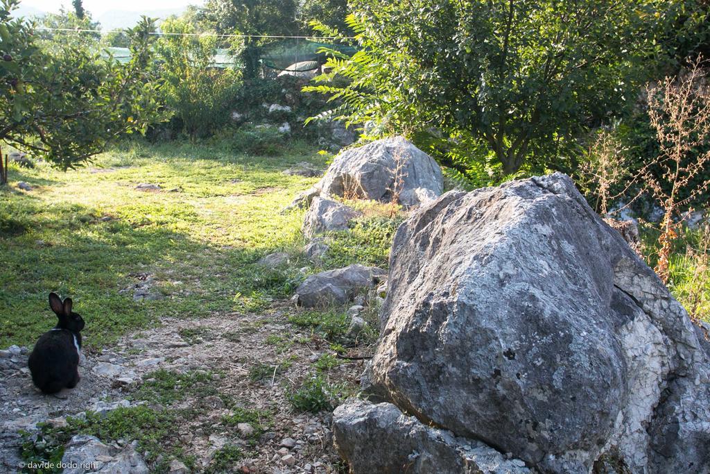 Agrotourism Matusko Pensionat Neum Exteriör bild